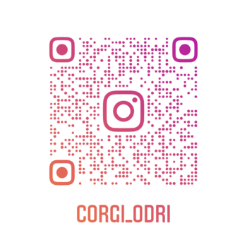 corgi_odri.thumb.png.b007d458559c9f2cf9d64bd4cb2de21f.png