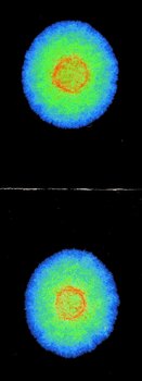 282396698_24.thumb.jpg.f804a9d5199cf6ebec830c3d34629f8c.jpg