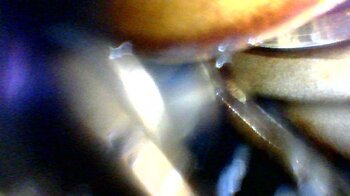 1651151025440.jpg