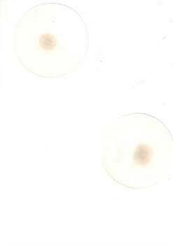 2054664784_2-.jpg