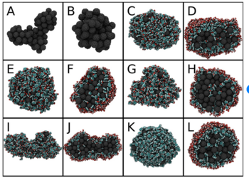 Screenshot 2022-06-03 at 14-04-18 Figure 2. Final structures of C60 clusters with and without organic.png