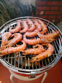 IMG_20220717_170748.jpg