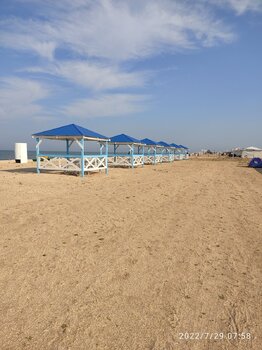IMG_20220729_075805.jpg