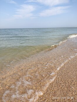 IMG_20220729_080046.jpg