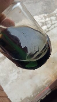 IMG_20220731_130628.jpg