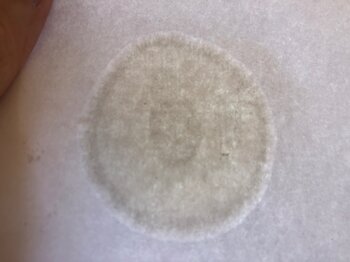 64E73D64-3532-48CF-B947-F7F5824D02D7.jpeg