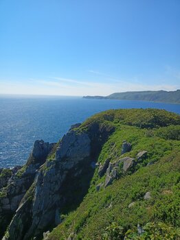 IMG20220818151029.thumb.jpg.b71f36440499fb13557b79a246c59b5e.jpg