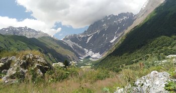IMG_20220731_170602.jpg