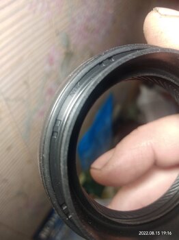 IMG_20220815_191608.jpg