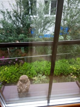 IMG_20220907_063443.jpg