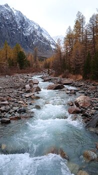IMG_20220912_111502_1.thumb.jpg.ac5505ad8bcd03aedf07761b1f91d6d8.jpg