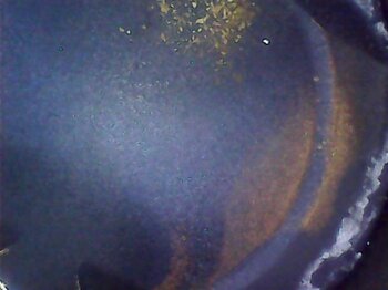 Snapshot000013.thumb.jpg.ecf447218a7130161bb0b17132f879cb.jpg