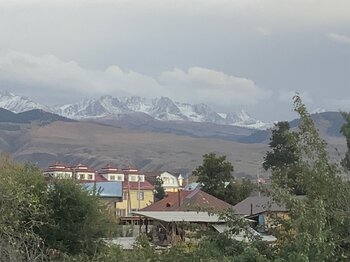 49CA66E7-30F2-448B-B488-19F694918312.jpeg