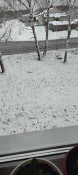 IMG_20221031_072829.thumb.jpg.dec25d9d1eabc5d094b5cad71dc7766f.jpg