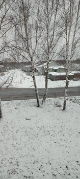 IMG_20221031_072834.thumb.jpg.a21eddc086586743d6d23b931c2e5508.jpg