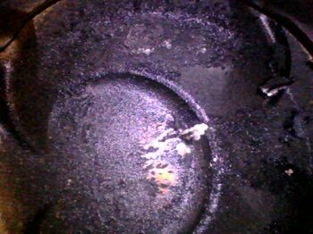 20221024_124448.jpg