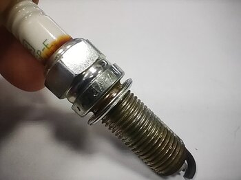 IMG20221127081210.thumb.jpg.e36b98653c4c0a4e9ff1134b38b4de02.jpg