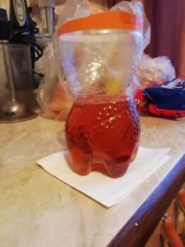 IMG_20221026_083328.jpg