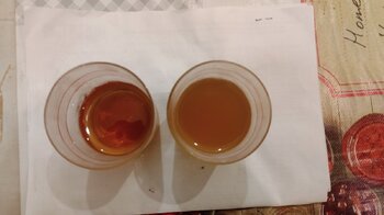 IMG_20221124_072147.jpg