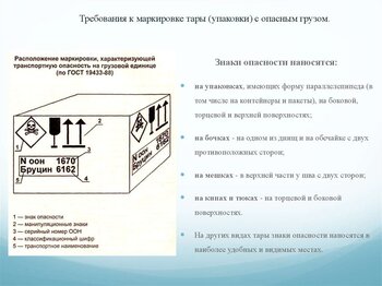 slide-7.jpg