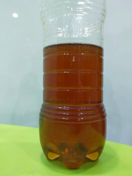 taneco12.jpg