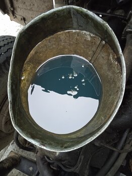IMG_20221130_102931.jpg