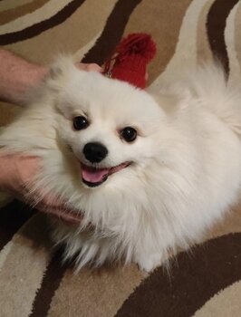 IMG_20230105_221402.thumb.jpg.1ae5ca5e707a2c11482d6151af79c66b.jpg