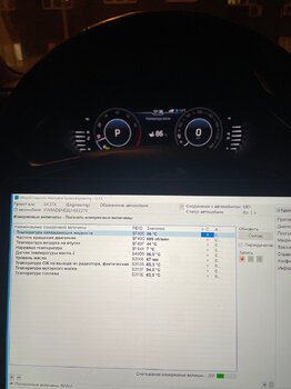 IMG_2922.jpeg