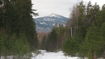 IMG_5789.JPG