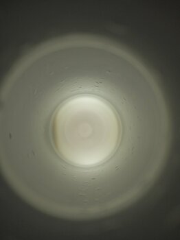 IMG_20230221_160345.jpg