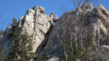 IMG_5826.JPG