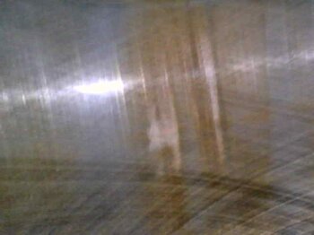 20220323_112408.jpg