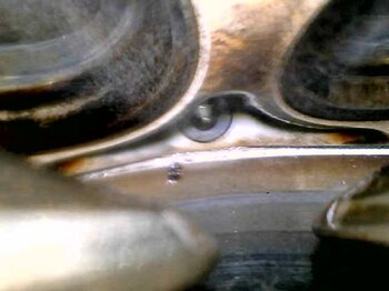 20230316_172518.jpg