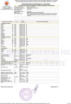 BMW Motorrad Advanced Ultimate 5W-40 URC копия.jpg