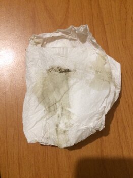 658B0187-D42C-4F6C-AB34-A73BD957666D.jpeg