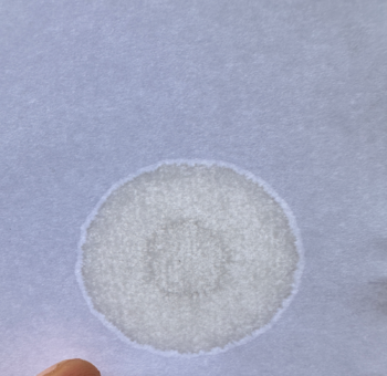 IMG_0660.thumb.png.065b115bdc0c06ceeb8e4e6c6873299f.png
