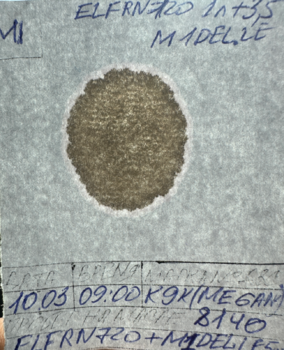IMG_0728.thumb.png.e78787ff3aedeffe17d5120a75439f2f.png