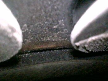 20230123_131342.jpg