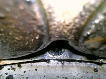 20230220_154031.jpg