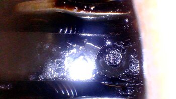 20230415111203.jpg