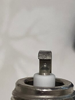 C783E236-18F1-4232-A9C6-7B96334F0305.jpeg