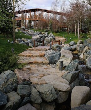IMG_20230418_131852.jpg