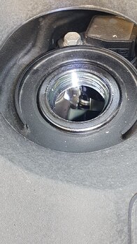 20230428_070952.jpg