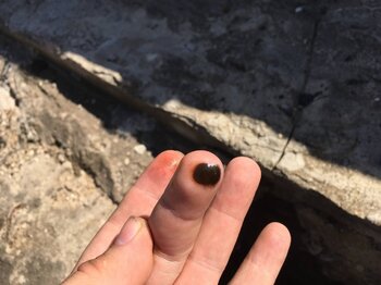 4.thumb.jpg.38bb80d2b4d6a2d4e6b82dad73bb96a3.jpg
