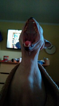 IMG-20230520-WA0013.jpeg