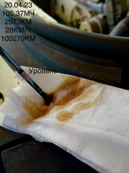 IMG_1202.jpeg