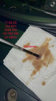 IMG_1643.jpeg