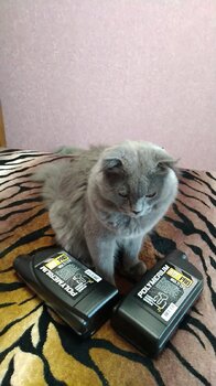 IMG_20230527_163950.jpg