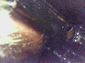 1687888010828.thumb.jpg.efa3355254749512c5f1a35d7a4f2b07.jpg
