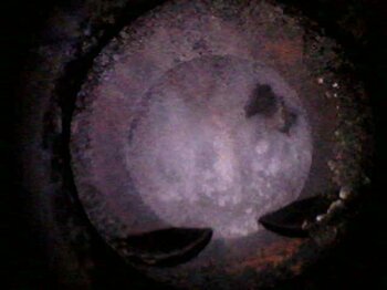 20230314_132054.jpg